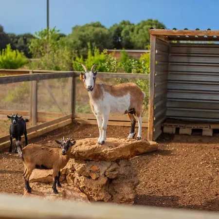 Menorca Llimpet Farmház Alaior