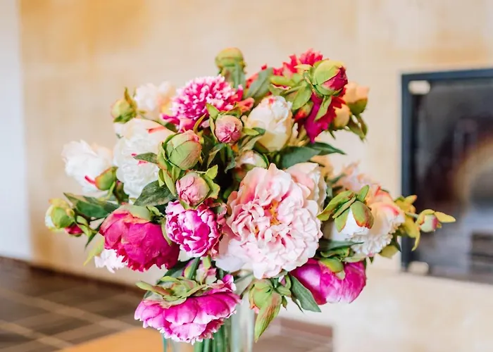 Menorca Llimpet Gospodarstwo agroturystyczne *