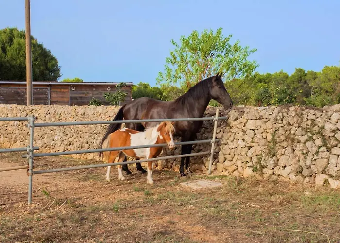 Menorca Llimpet Gospodarstwo agroturystyczne *