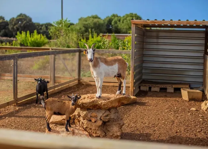 Menorca Llimpet Gospodarstwo agroturystyczne Alaior