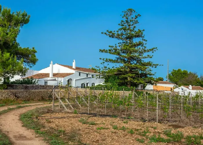 Gospodarstwo agroturystyczne Menorca Llimpet Alaior