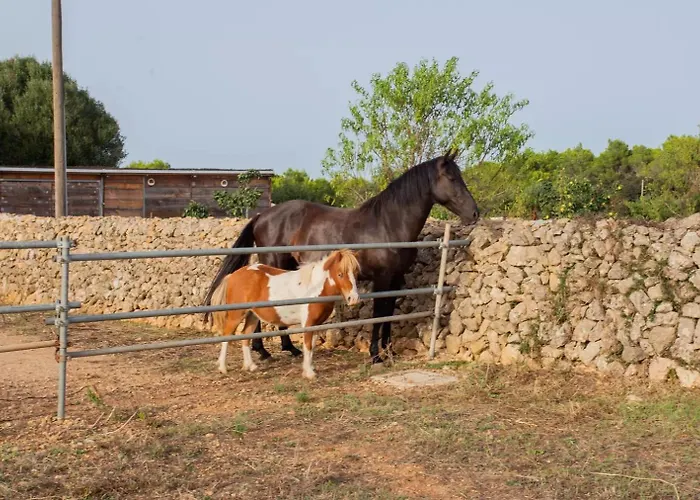 Menorca Llimpet Gospodarstwo agroturystyczne