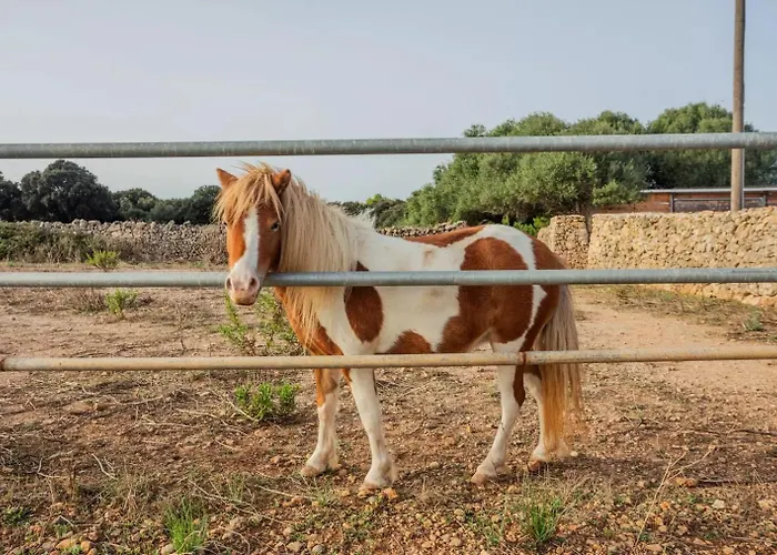 Menorca Llimpet Alaior