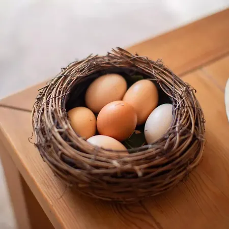 مزرعة للإقامة Menorca Llimpet الايور