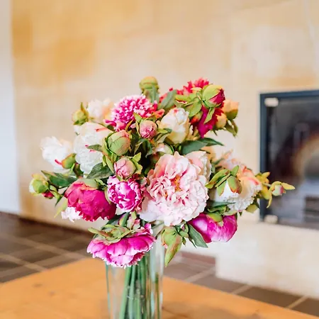 Menorca Llimpet مزرعة للإقامة *