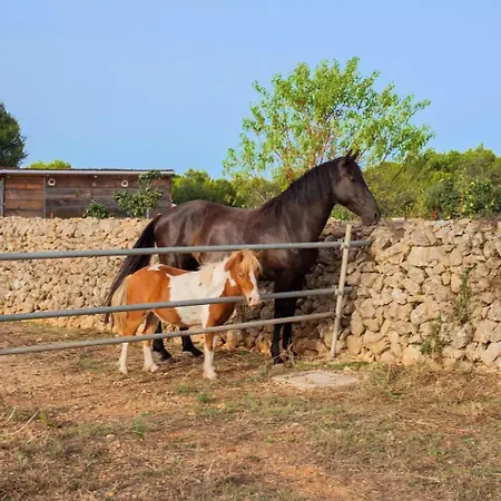 Menorca Llimpet مزرعة للإقامة *