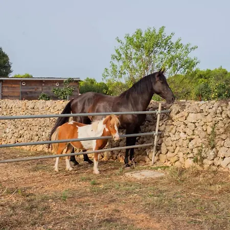 Menorca Llimpet Agroturismo